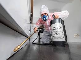 Best Fumigation Services  in West Wyomissing, PA